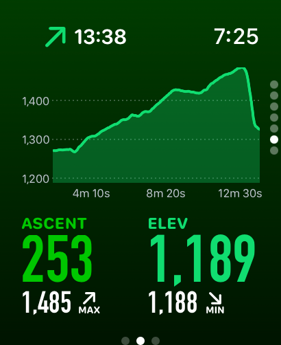 Cadence Apple Watch app - Elevation screen